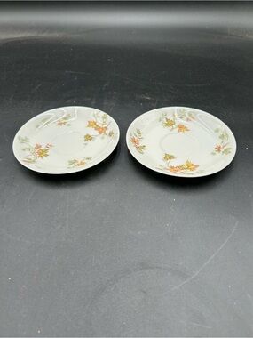 Haviland Autumn Leaf saucer pair